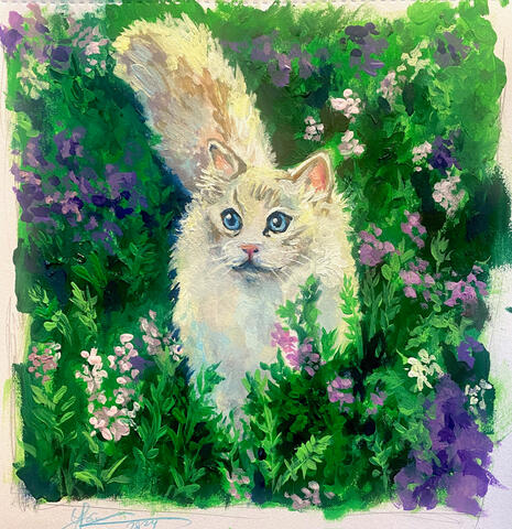 Cat Study Cat Study